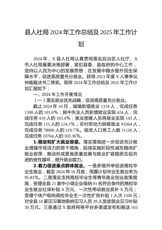 县人社局2024年工作总结及2025年工作计划
