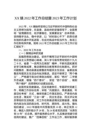 XX镇2022年工作总结暨2023年工作计划 (3)