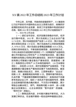 某镇2022年工作总结和2023年工作计划 (2)