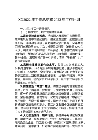 XX2022年工作总结和2023年工作计划 (2)