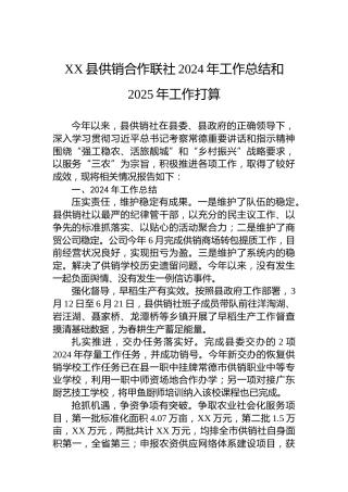 XX县供销合作联社2024年工作总结和2025年工作打算