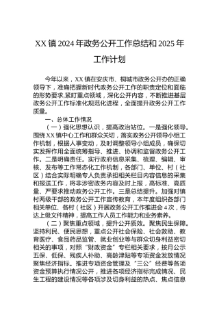 XX镇2024年政务公开工作总结和2025年工作计划