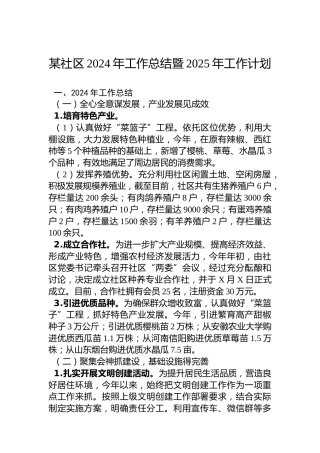 某社区2024年工作总结暨2025年工作计划