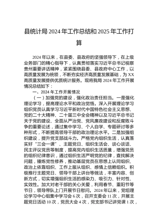 县统计局2024年工作总结和2025年工作打算