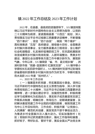 镇2022年工作总结及2023年工作计划 (2)