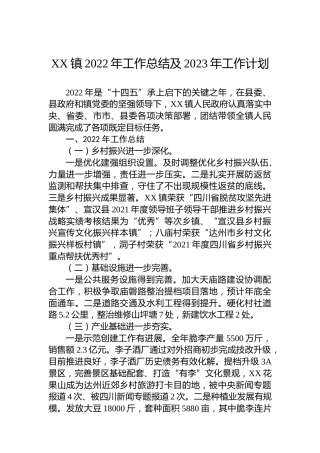 XX镇2022年工作总结及2023年工作计划 (2)