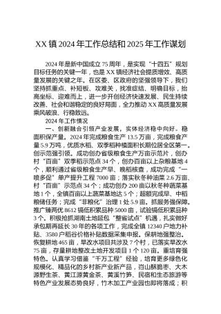 XX镇2024年工作总结和2025年工作谋划