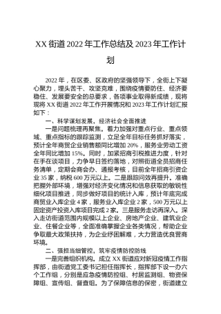 XX街道2022年工作总结及2023年工作计划 (2)