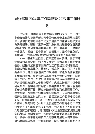 县委巡察2024年工作总结及2025年工作计划