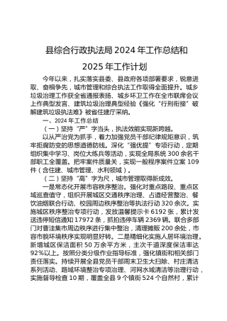 县综合行政执法局2024年工作总结和2025年工作计划