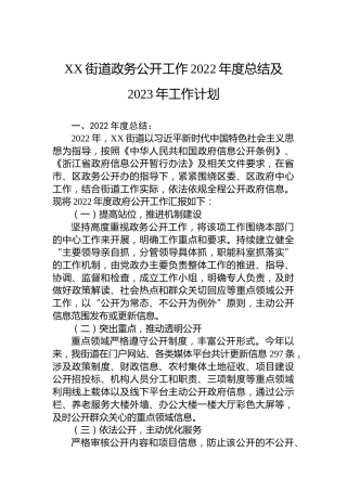 XX街道政务公开工作2022年度总结及2023年工作计划 (2)