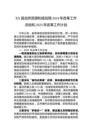XX县自然资源和规划局2024年改革工作总结和2025年改革工作计划