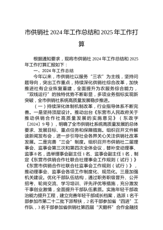 市供销社2024年工作总结和2025年工作打算