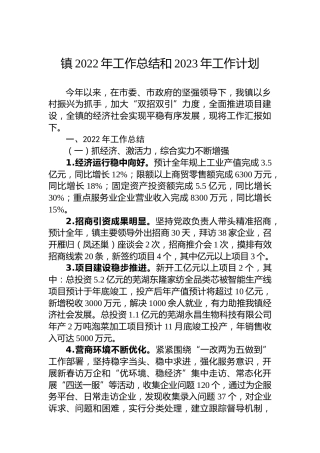 镇2022年工作总结和2023年工作计划 (2)