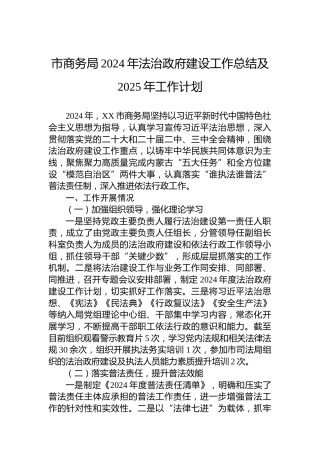 市商务局2024年法治政府建设工作总结及2025年工作计划