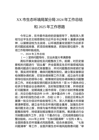 XX市生态环境局某分局2024年工作总结和2025年工作思路