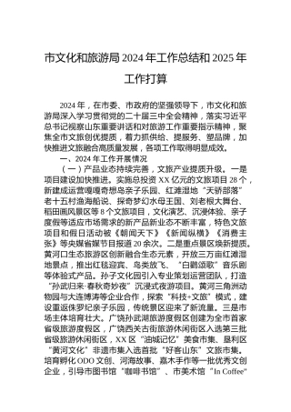 市文化和旅游局2024年工作总结和2025年工作打算