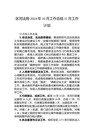 区司法局2024年10月工作总结11月工作计划