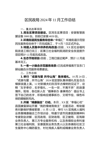区民政局2024年11月工作总结