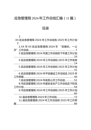 应急管理局2024年工作总结汇编（11篇）