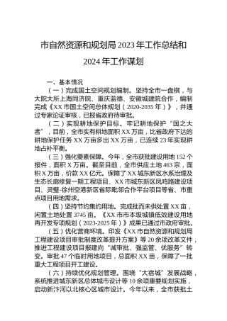 市自然资源和规划局2023年工作总结和2024年工作谋划