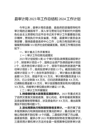 县审计局2023年工作总结和2024工作计划