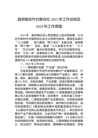 县供销合作社联合社2023年工作总结及2024年工作思路