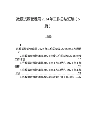 数据资源管理局2024年工作总结汇编（5篇）