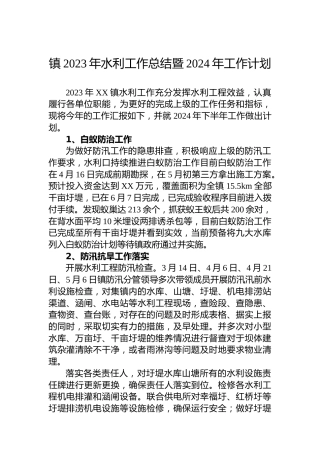 镇2023年水利工作总结暨2024年工作计划