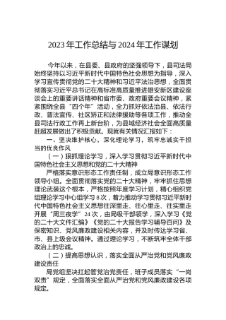 2023年工作总结与2024年工作谋划