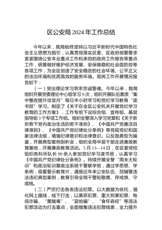 区公安局2024年工作总结