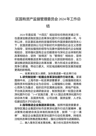 区国有资产监督管理委员会2024年工作总结