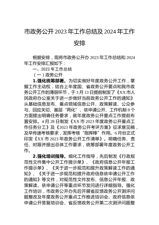 市政务公开2023年工作总结及2024年工作安排
