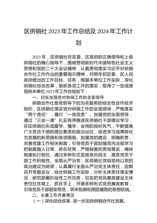 区供销社2023年工作总结及2024年工作计划