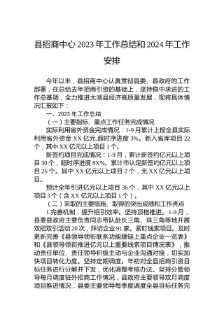 县招商中心2023年工作总结和2024年工作安排