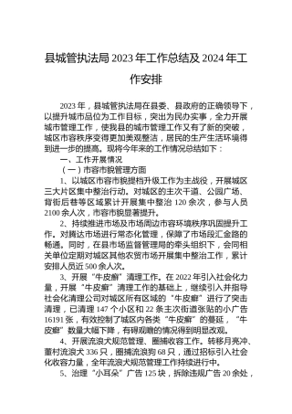 县城管执法局2023年工作总结及2024年工作安排