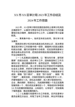 XX市XX区审计局2023年工作总结及2024年工作思路