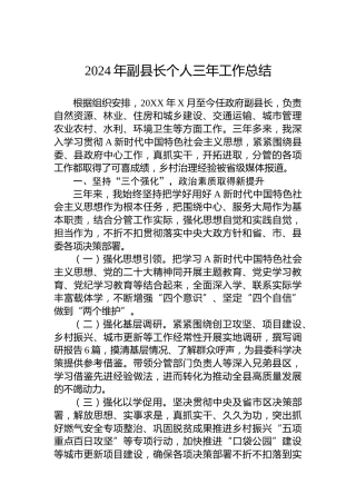 2024年副县长个人三年工作总结