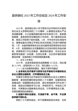 县供销社2023年工作总结及2024年工作安排