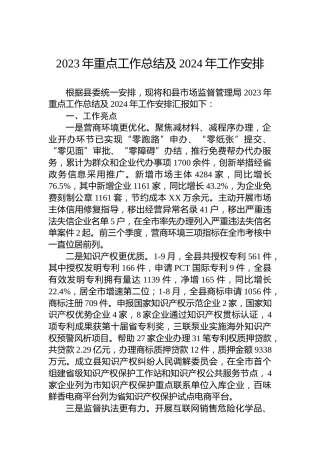 2023年重点工作总结及2024年工作安排