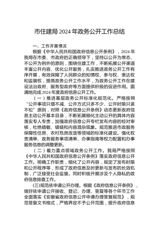 市住建局2024年政务公开工作总结