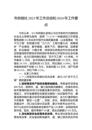 市供销社2023年工作总结和2024年工作要点