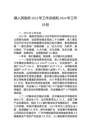 镇人民政府2023年工作总结和2024年工作计划