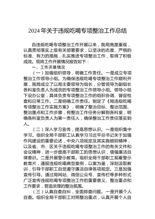 2024年关于违规吃喝专项整治工作总结