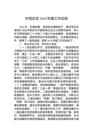 村党总支2024年度工作总结