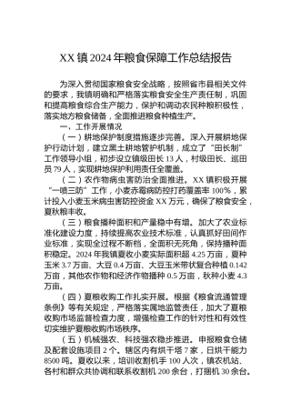 XX镇2024年粮食保障工作总结报告