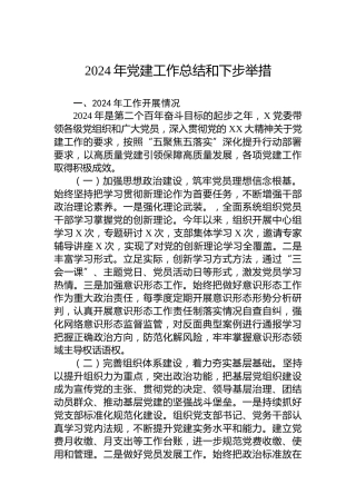2024年党建工作总结和下步举措