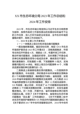 XX市生态环境分局2023年工作总结和2024年工作安排