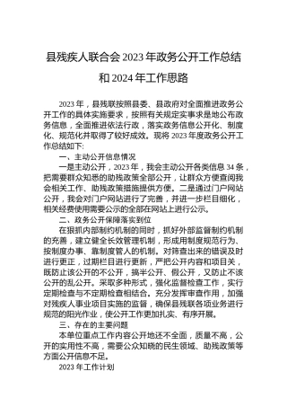 县残疾人联合会2023年政务公开工作总结和2024年工作思路
