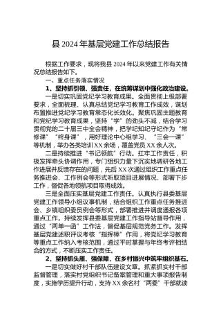 县2024年基层党建工作总结报告